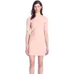 NWT Theory "Harkin" Dress in Cameo